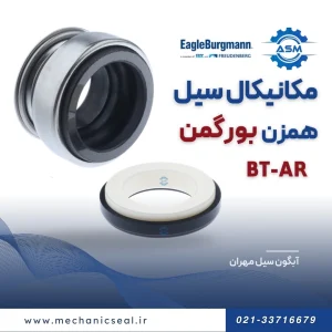 مکانیکال سیل BT-AR بورگمن