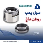 مکانیکال سیل پمپ روغن داغ