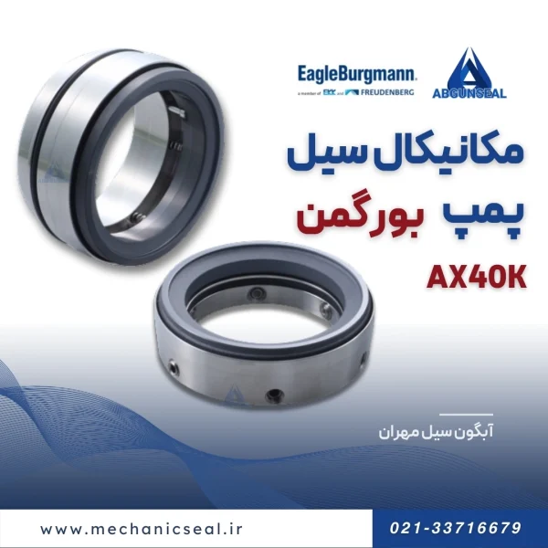 سیل بورگمن Ax40k