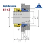 نقشه سیل بورگمن Bt-c5