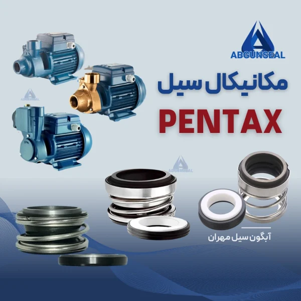 فروش انواع سیل پمپ آب پنتاکس ایتالیا در سایزهای مختلف