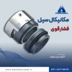 سیل فشار قوی بورگمن سری H7N